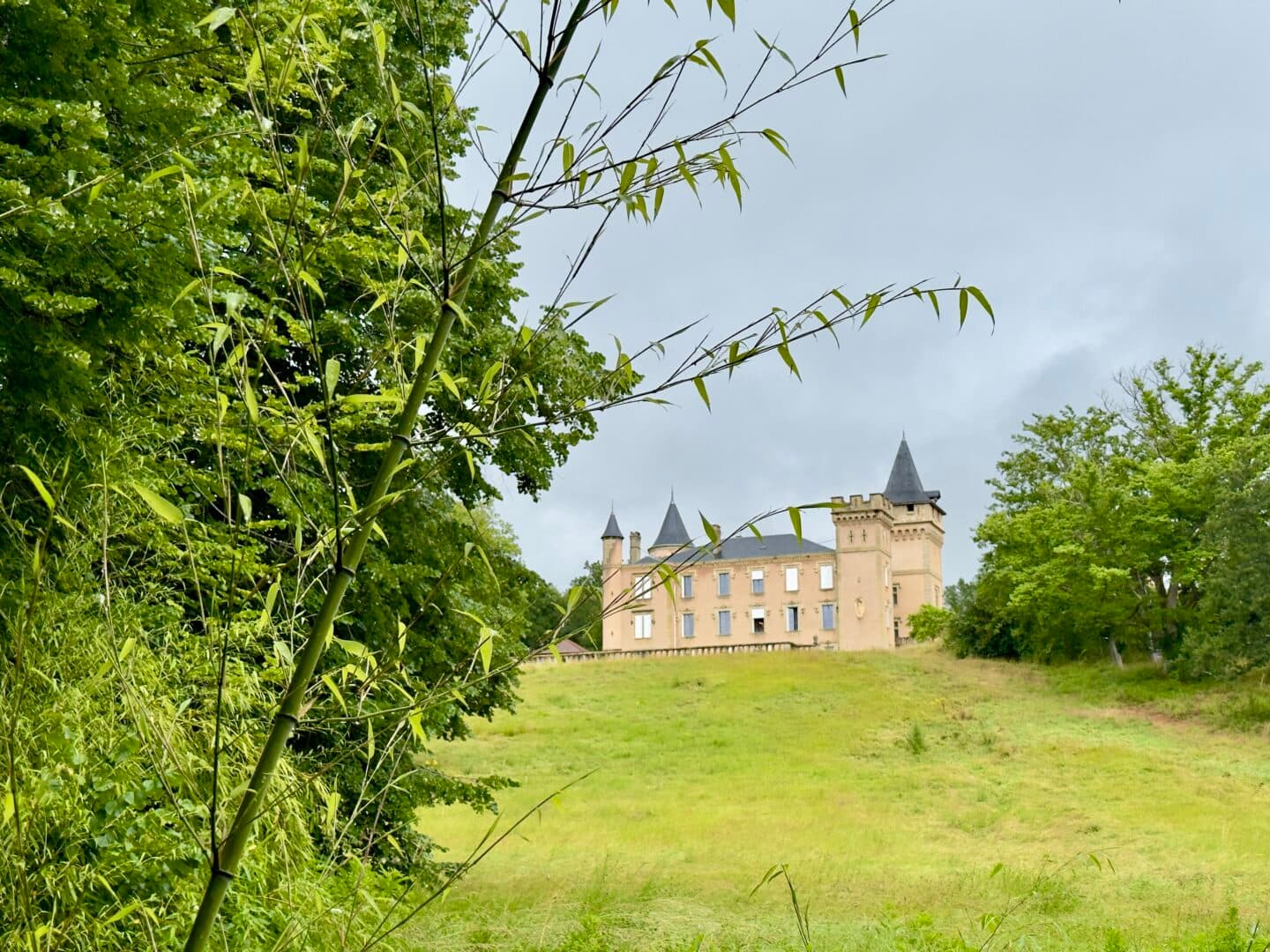 The pink castle seen through bamboo groves