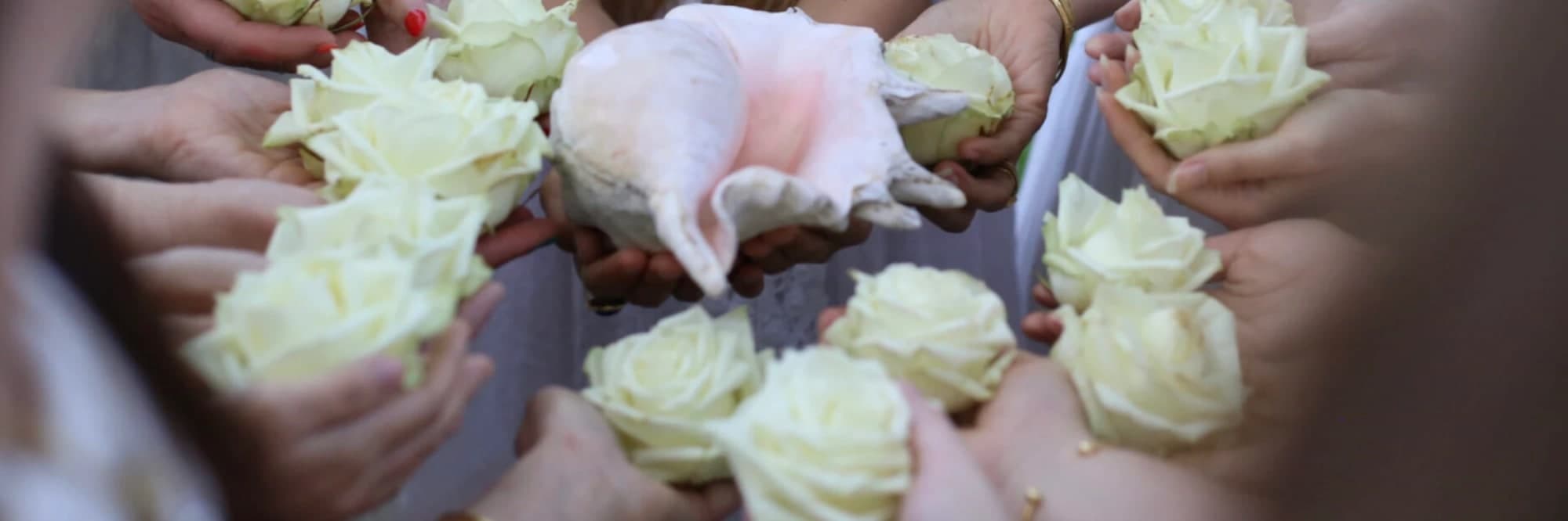 Hands holding white roses in a circle around a conch shell